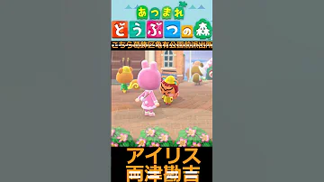ちっくしょ 料理 なんてこりごりだぁ Part104 By 両津勘吉 アイリス あつまれどうぶつの森 こちら葛飾区亀有公園前派出所 