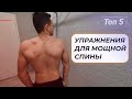 ТОП 5 ЛУЧШИХ УПРАЖНЕНИЙ НА СПИНУ