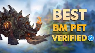 Best Bm Hunter Pve Pet World Of Warcraft Dragonflight Season 4