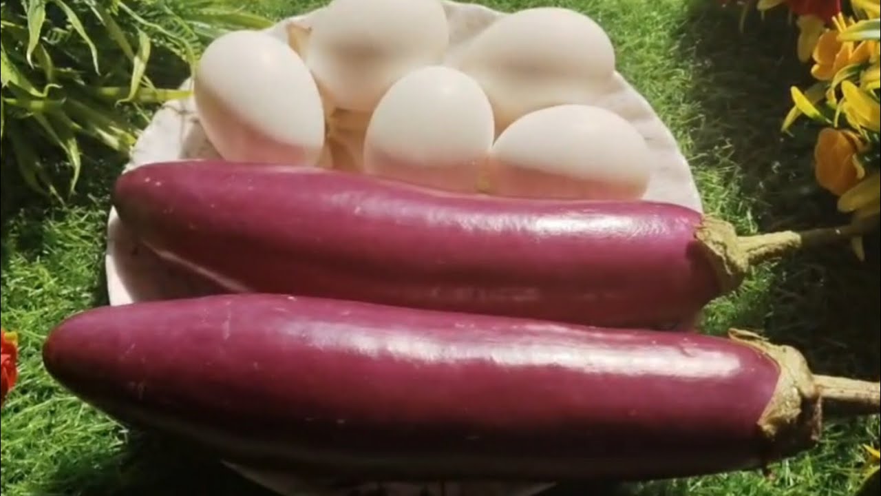 ডিম দিয়ে বেগুন রেসিপি এভাবে রান্না করলে সুগন্ধেই পুরোভাত খাওয়া হয়ে যাবে🔥Begun Winter special recipe