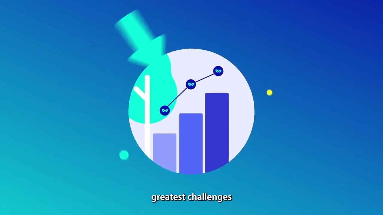 Creating Sustainable E-Commerce With Sharpei