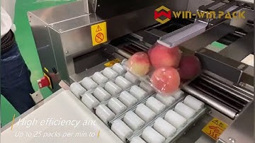 WIN-WIN PACK Food wrapping machine/Fully-automated Wrapper/Fully integrated weigh-wrap-label system