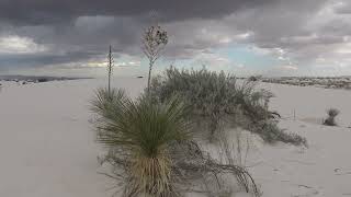 White Sands  in New Mexico