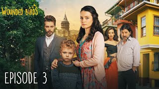 Wounded Birds - Episode 3 - Multi Lang Subtitles Turkish Drama Yaralı Kuşlar 2019