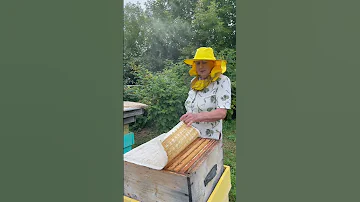 Дым для пчёл как успокоение