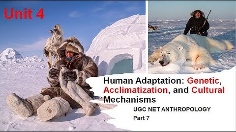 Human Adaptation: Genetic, Acclimatization, and Cultural Mechanisms