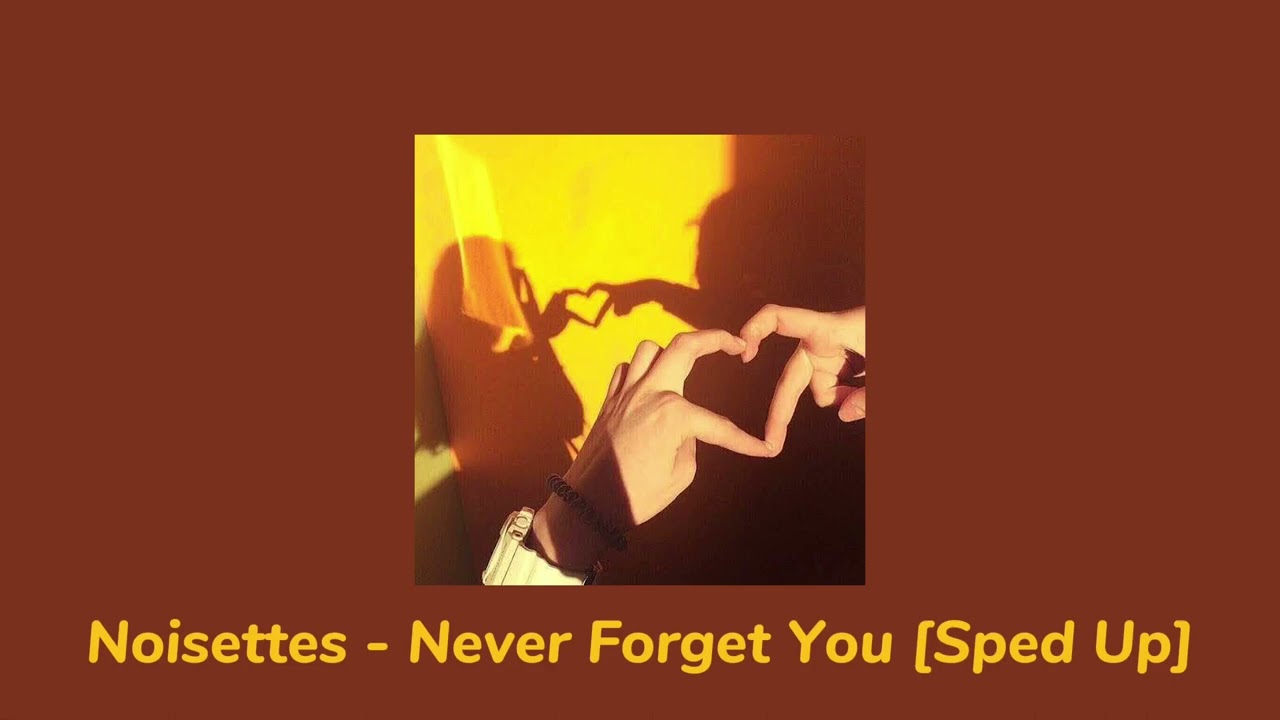 NEVER FORGET YOU (TRADUÇÃO) - Noisettes 