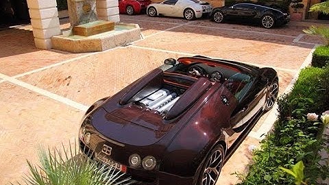 Binary Options Trading Software 100 % FREE Binary Option Signals App