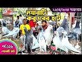      largest pigeon market in khulna    