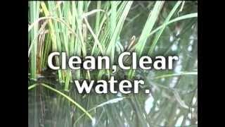 Glendon Biofilter Video - Simply The Best Septic System Available