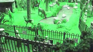 Miniatura de vídeo de "Toy Zoo - Good Mornings (early recording)"