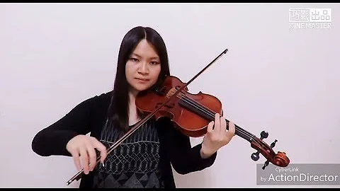 Billie Eilish - wish you were gay(Violin Cover)