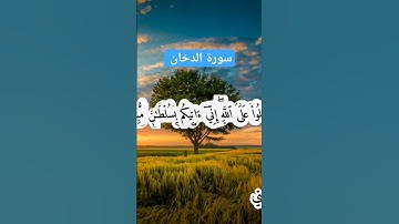 💚ولقد فتنا قبلهم قوم فرعون 💙 اجمل تلاوة عطرة للقارئ ريان المحيسني 🎙👍