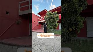 Bugünde Rabbini Seven Bir Müslüman Olarak Uyandım Ama Brezilyada