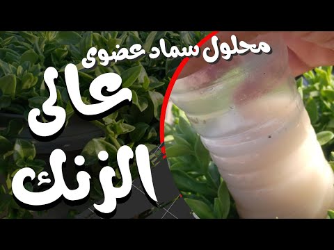 تحضير محلول سماد عضوى غنى بعنصر الزنك