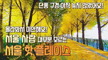 서울사람 대부분이 모르지만 핫플인 곳! 아직 단풍구경을 못하신 분 이곳으로 가세요.