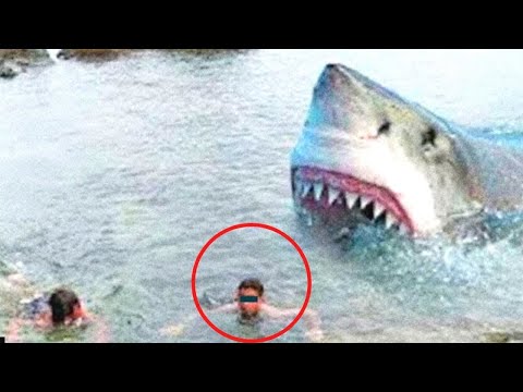 Unbelievable Animal Encounters Caught on Camera in Less than 1 Hour #3 ...