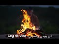 Ley De Vida غير روحي وإنسيني Slowed Reverb 