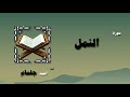 القران الكريم بصوت الشيخ احمد جلمام سورة النمل 