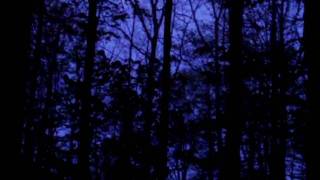 Zi6_0409.MOV