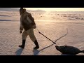 Cazadores Inuit capturan una foca en el hielo - Expedición Thule 2011