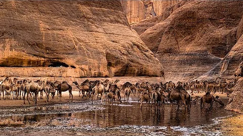 Guelta d'Archei - Ennedi, Chad