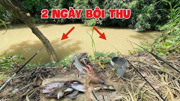 Những điểm câu mới có tôm càng,cá chạch,cá lăng,cá rô/bất ngờ bội thu sau 2 ngày câu