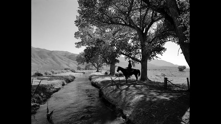 The Equestrian West: Photographs by William Shepley