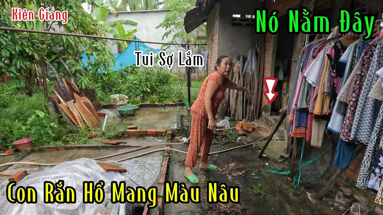 Kiên Giang : Người Phụ Nữ Bị Rắn Hổ Mang Tấn Công Té Đ.ái Trong Quần Quá Nguy Hiểm | Mười Thương SB