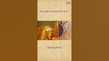 X.Á.C ƯỚP AI CẬP CÓ MÙI GÌ ?!