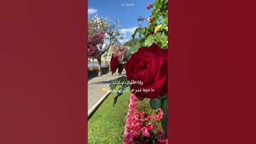 الله يبسط الرزق لمن يشاء ويقدر ،القارئ:اسلام صبحي