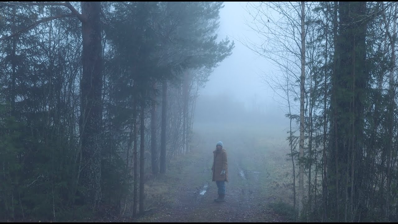 🇬🇧 Story 41 One Year After Buying a Swedish Cabin