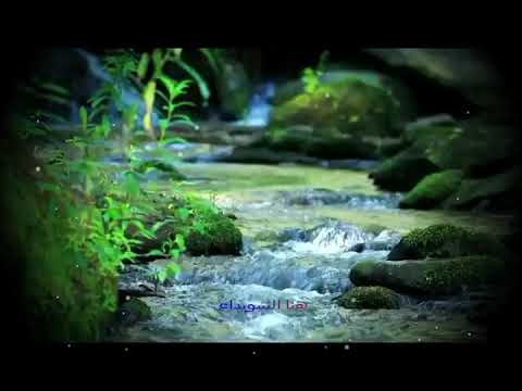 جوفية عيت حثحث بكرتي الفنان مرسل عريج