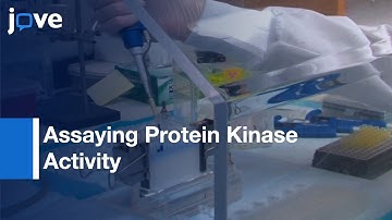 Protein Kinase Activity Assessment with Radiolabeled ATP | Protocol Preview