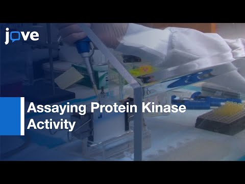 Video: Ce este un test de protein kinază?