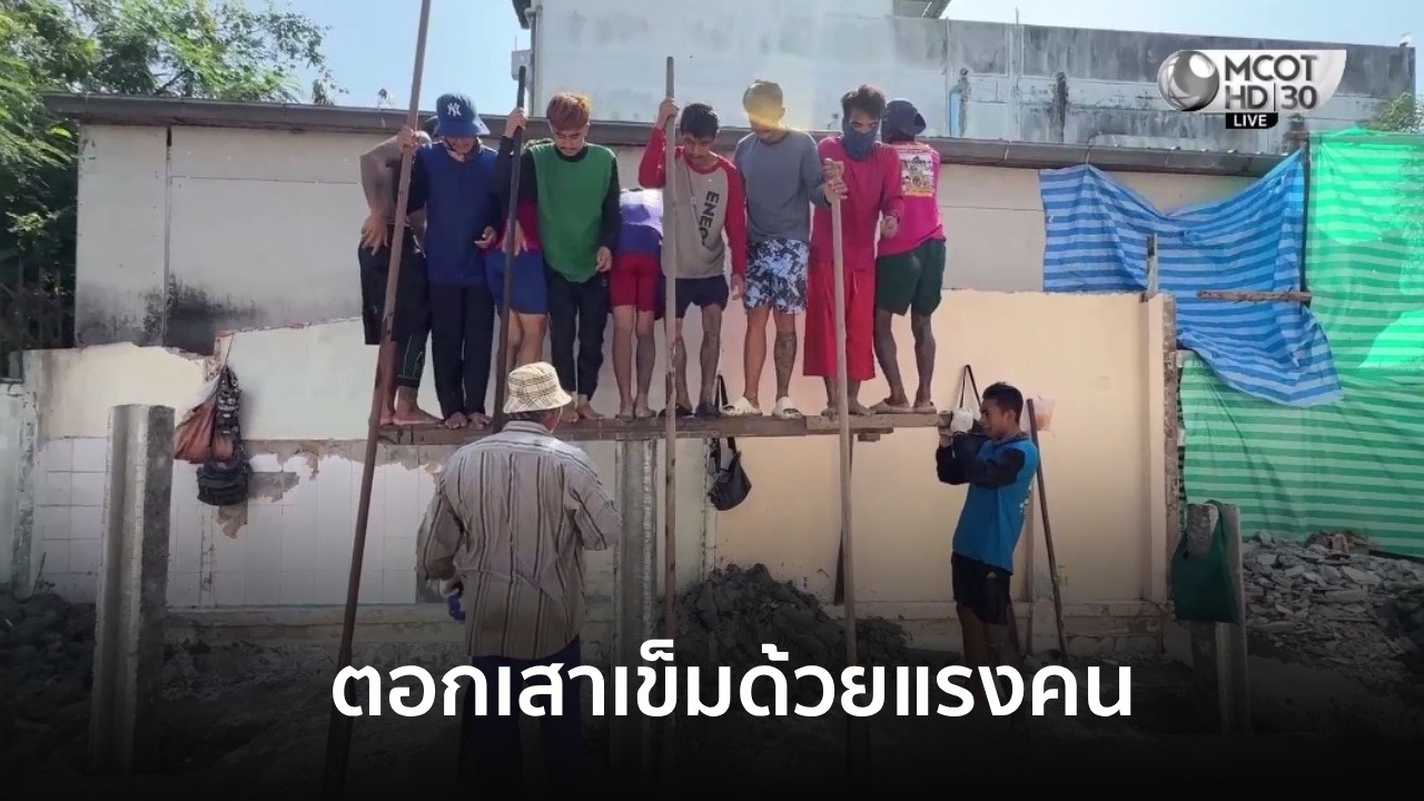 ตอกเสาเข็มด้วยแรงคน แบบโบราณ ถูกกว่าปั้นจั่น