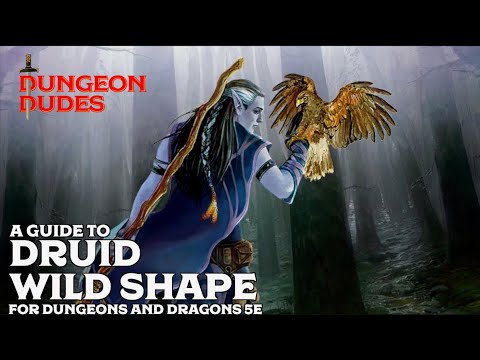 Druid Wildshape Guide for Dungeons and Dragons 5e