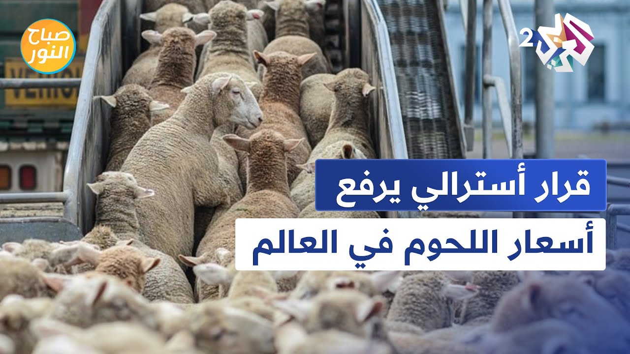 أستراليا تحظر تصدير المواشي بحرًا ..هل يؤثر القرار على أسعار اللحوم في العالم العربي؟ │ صباح النور