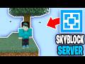 How To Make Skyblock Server In Aternos! - Tutorial
