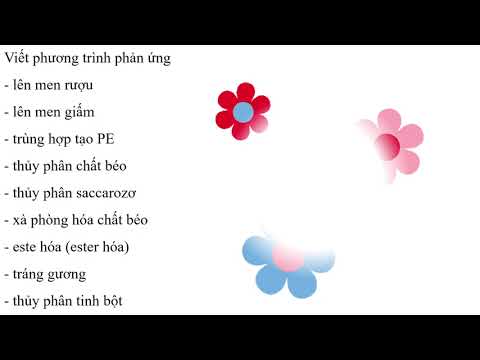 Viết các phương trình phản ứng lên men rượu, lên men giấm, thủy phân chất béo - youtube