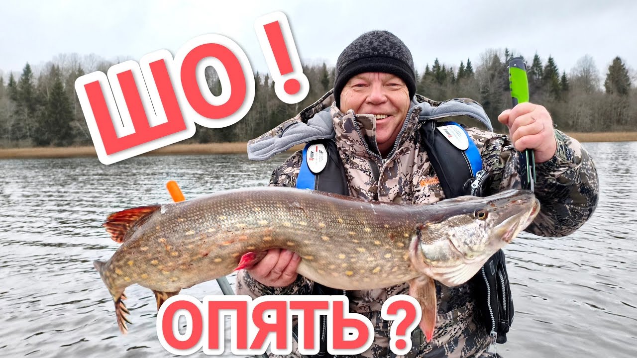 Щука на воблер в ноябре 😎