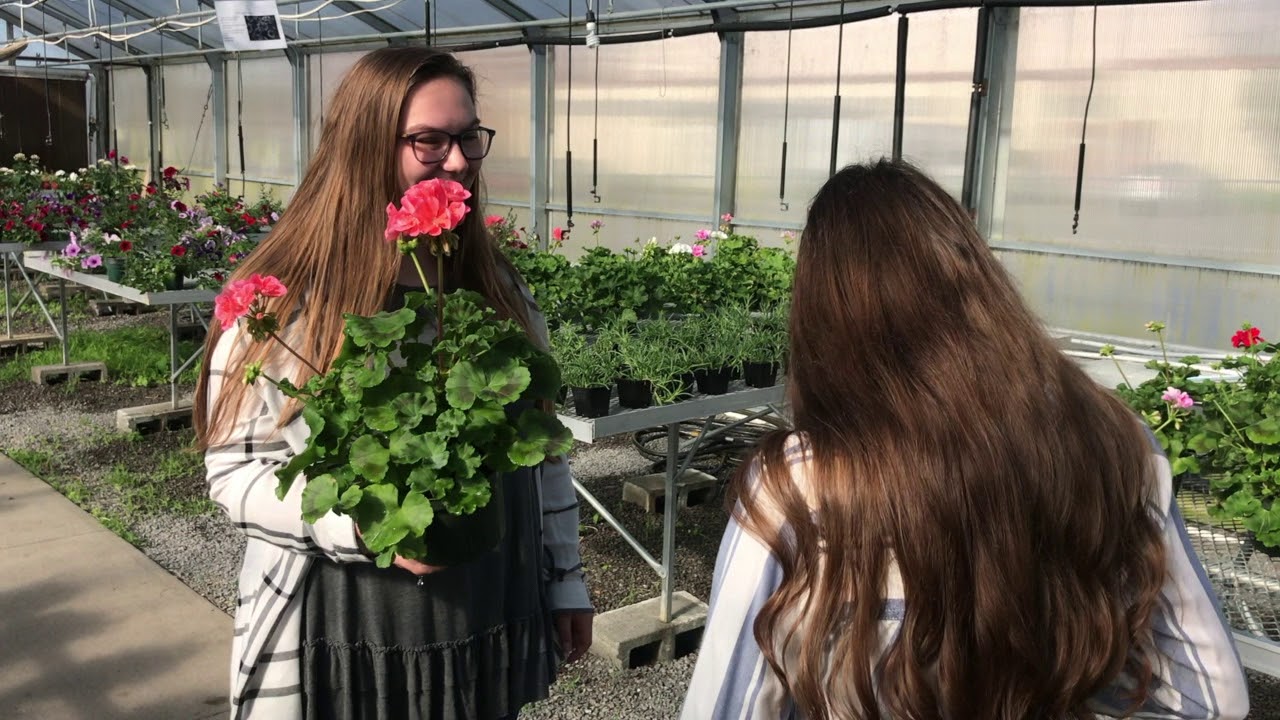 Eagleville School Career & Technical Education