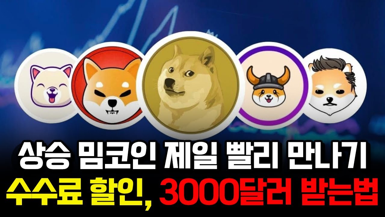 떡상할 밈코인들 가장 빠르게 만나는 루트🔥 수수료할인에 3000달러까지! (Feat. 비트마트) #비트코인 #비트코인선물 #코인선물  #코인거래소 | Hashini Km