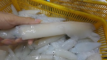 Chợ bình điền lên đồ quá ngon.tươi xanh