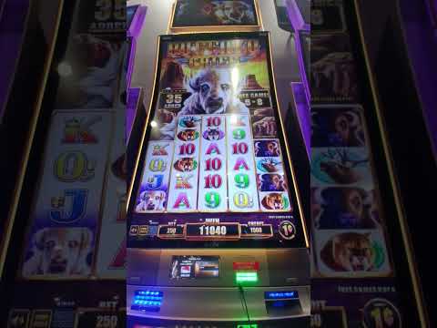 Vinci alla grande nei casinò online: scopri il brivido del 'Monster Win' in Italia