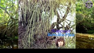 Video thumbnail of "Lyke Wake Dirge - Al Stewart |Lyrics| HD"