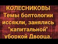 Семья Колесниковых/Темы иссякли/Капитальная уборка Дворца.