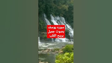 سوره يوسف بصوت جميل #short تلاوات نادره
