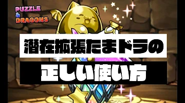 拡張たまドラ