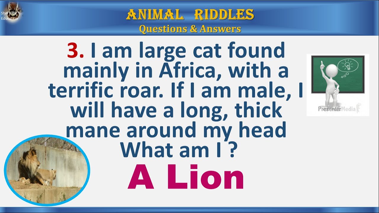 Riddles in English with answers. Pets Riddles прохождение. Уровень 133 Pets Riddles. Pet's Riddles 93.